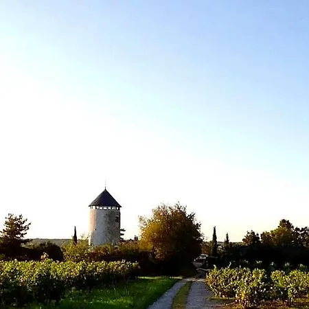 住宿加早餐酒店 La Tour Du Moulin Geant-sejour Insolite Rochefort-sur-Loire