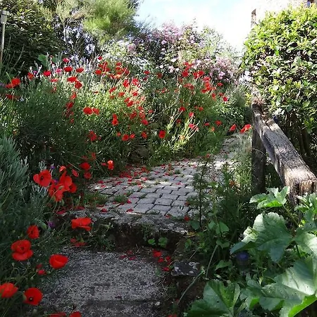 Bed & Breakfast La Tour Du Moulin Geant Rochefort-sur-Loire